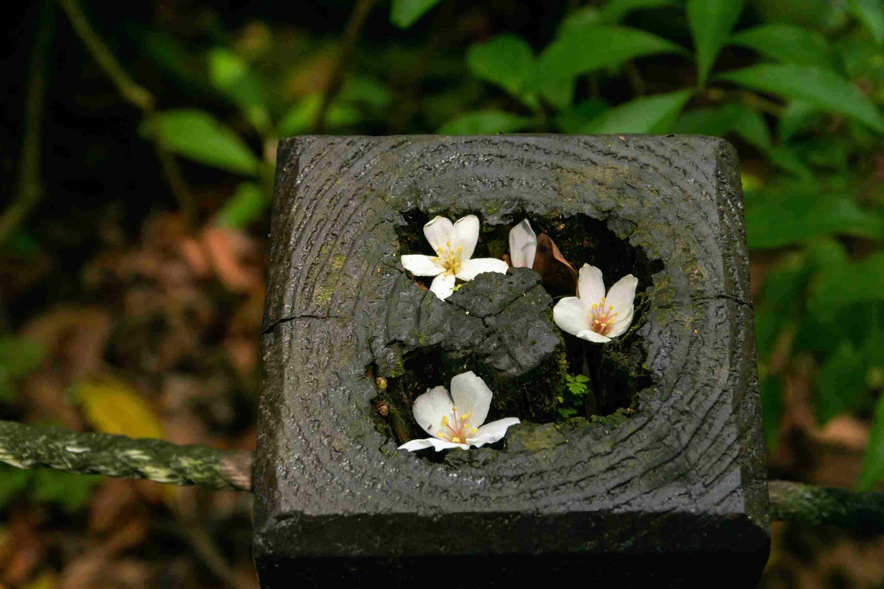 The Interplay of Existence and Non-existence