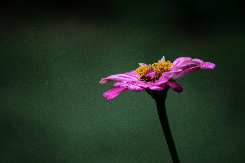 therefore lasting not desire holding see its wonderful