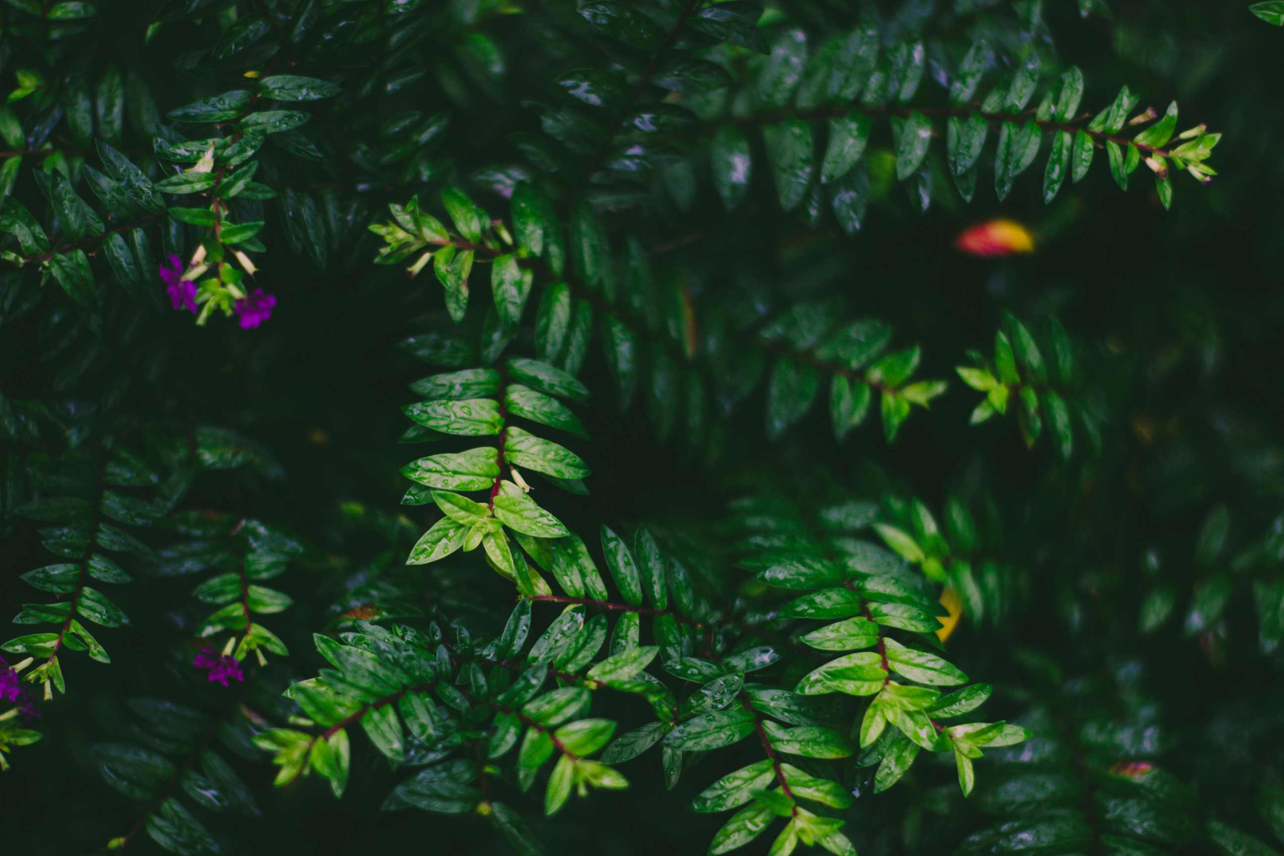 Discovering Taoism: The Ancient Path of Harmony and Balance